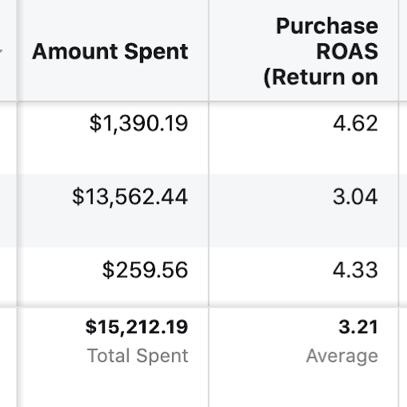 Accessories brand — 28 campaigns, 3.21x ROAS, $48,773 in conversion value